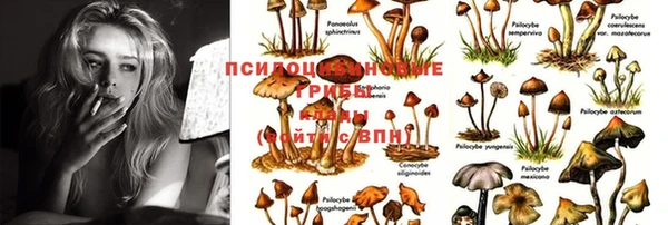 тгк Алексеевка